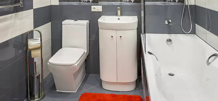 Hansgrohe Shaving Mirror Coeur d'Alene
